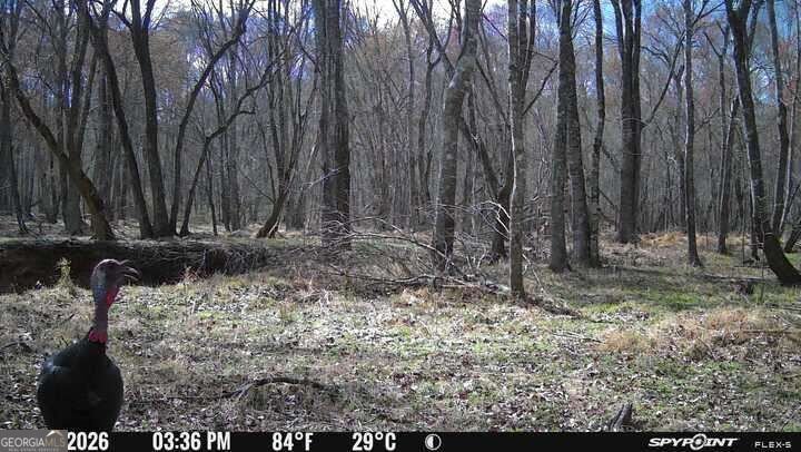 1032 Washington Road Lexington - Photo 19