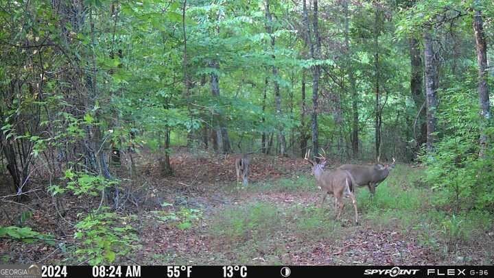 1032 Washington Road Lexington - Photo 24