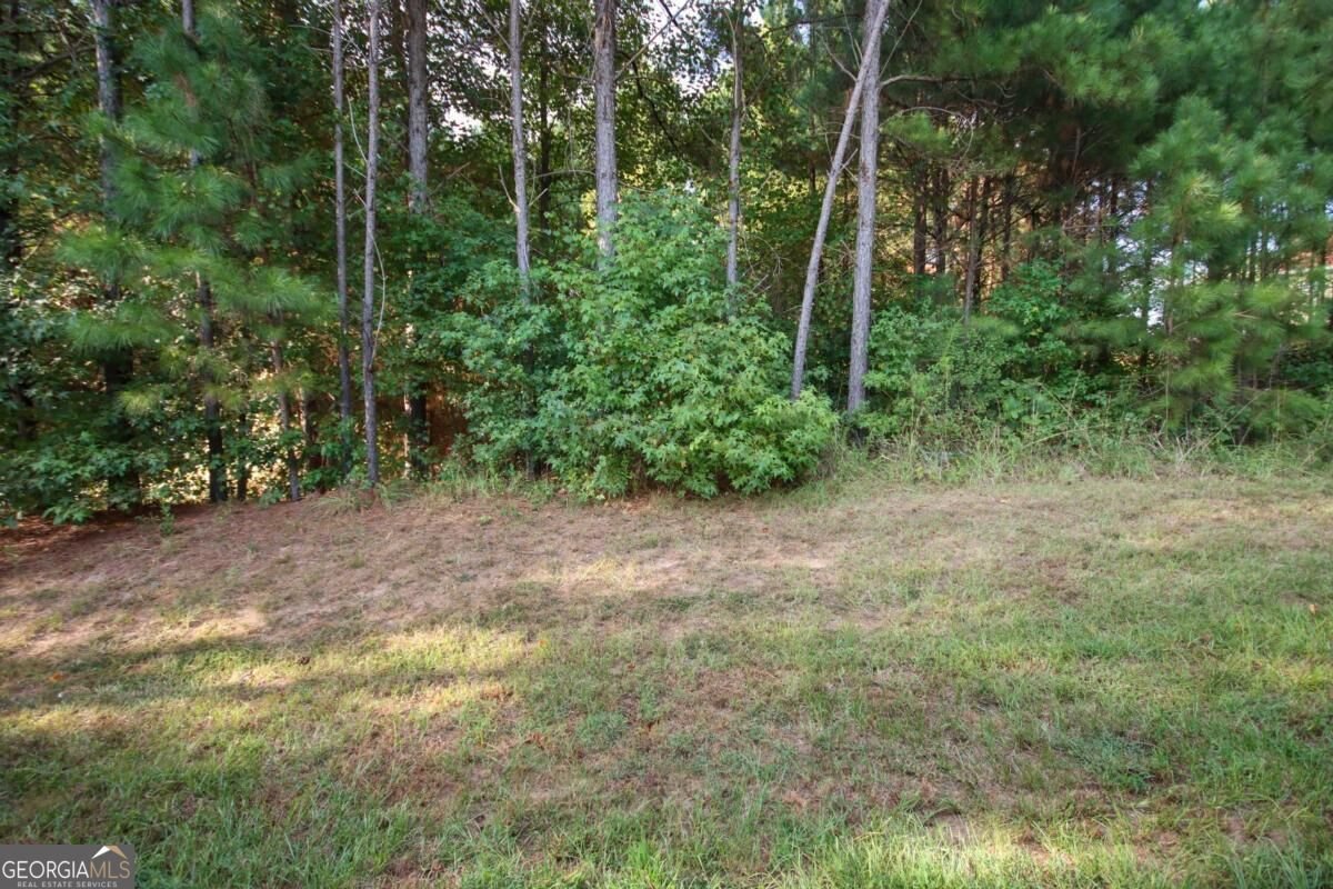 1779 Robinson Court Griffin - Photo 34