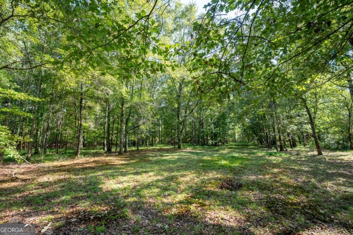 1215 Cullpepper Road Calhoun - Photo 50