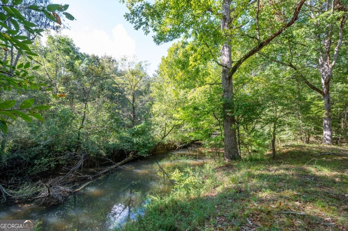 1215 Cullpepper Road Calhoun - Photo 52