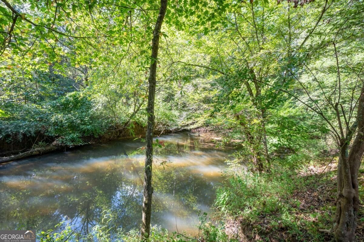 1215 Cullpepper Road Calhoun - Photo 53