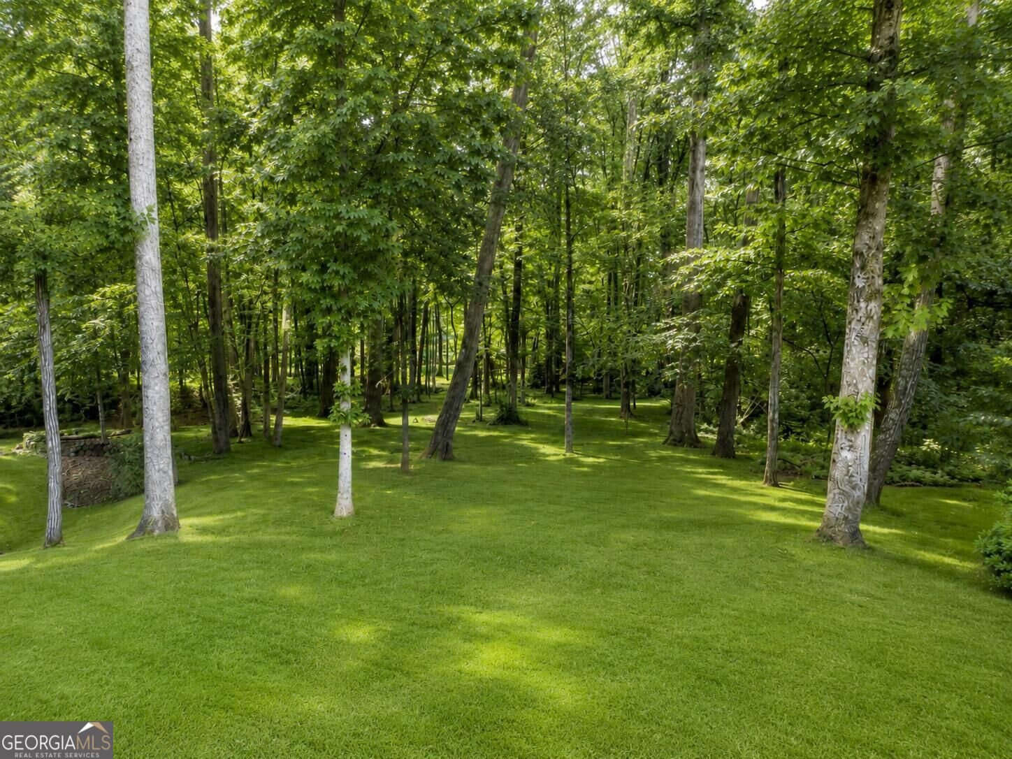 2309 Normandy Court Conyers - Photo 63