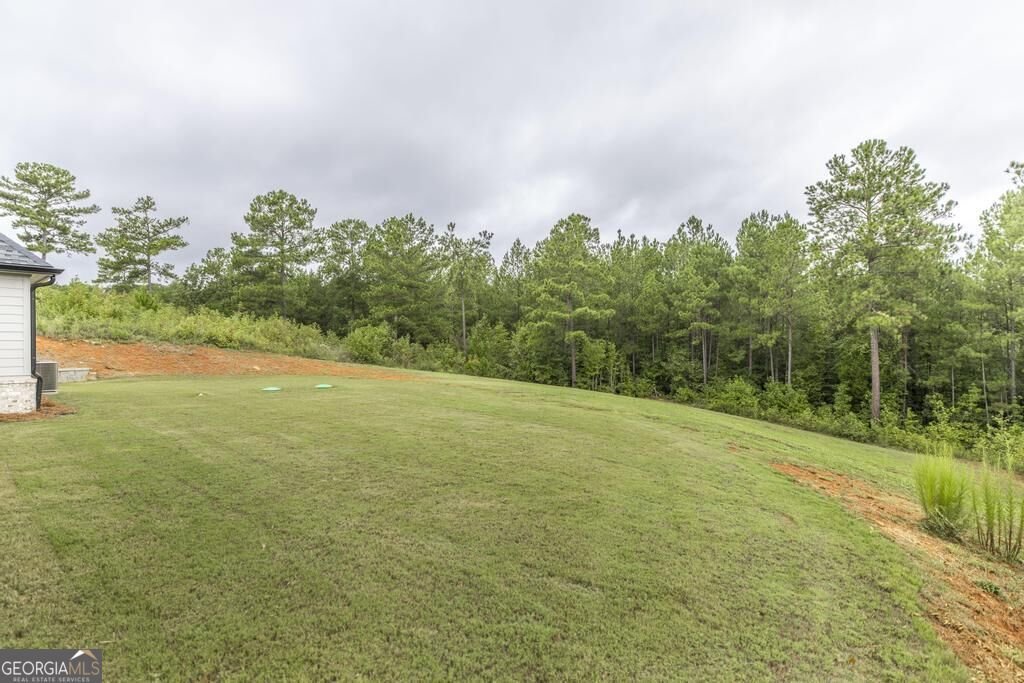 216 Creekside Trail Forsyth - Photo 42