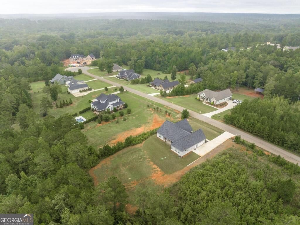 216 Creekside Trail Forsyth - Photo 44
