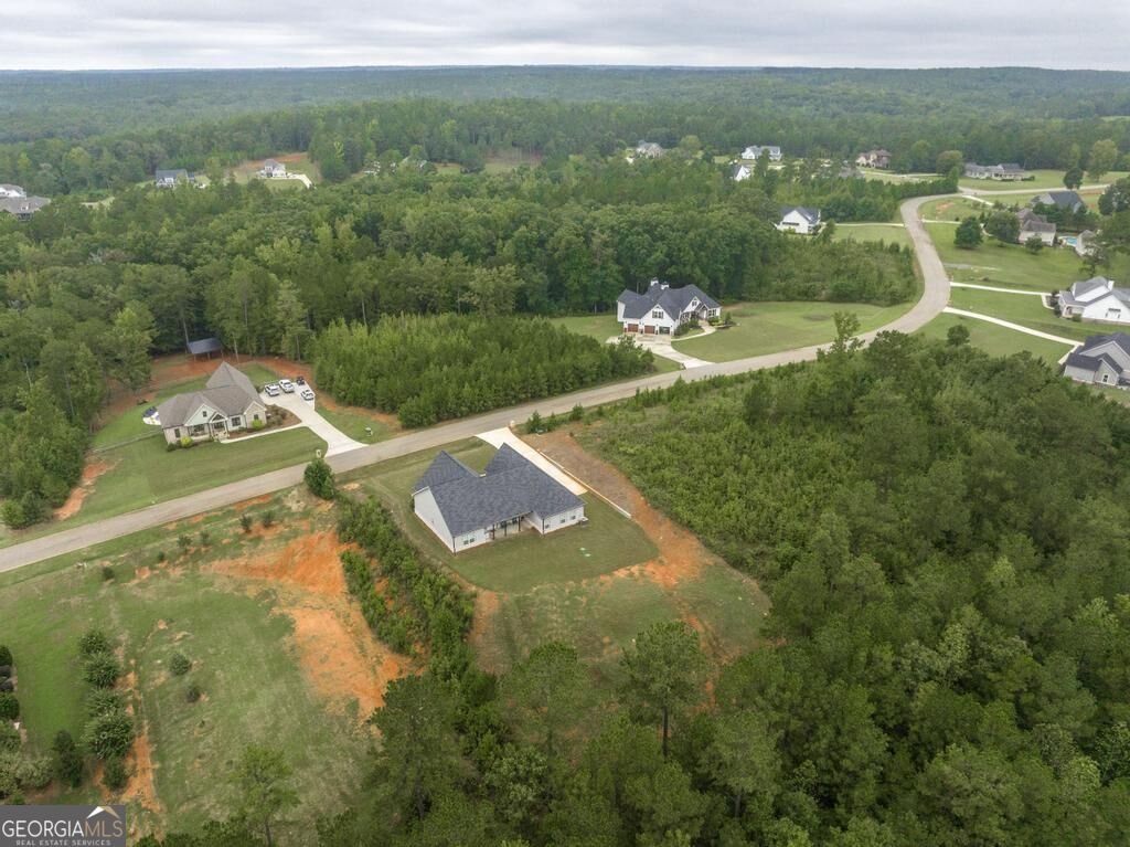 216 Creekside Trail Forsyth - Photo 45