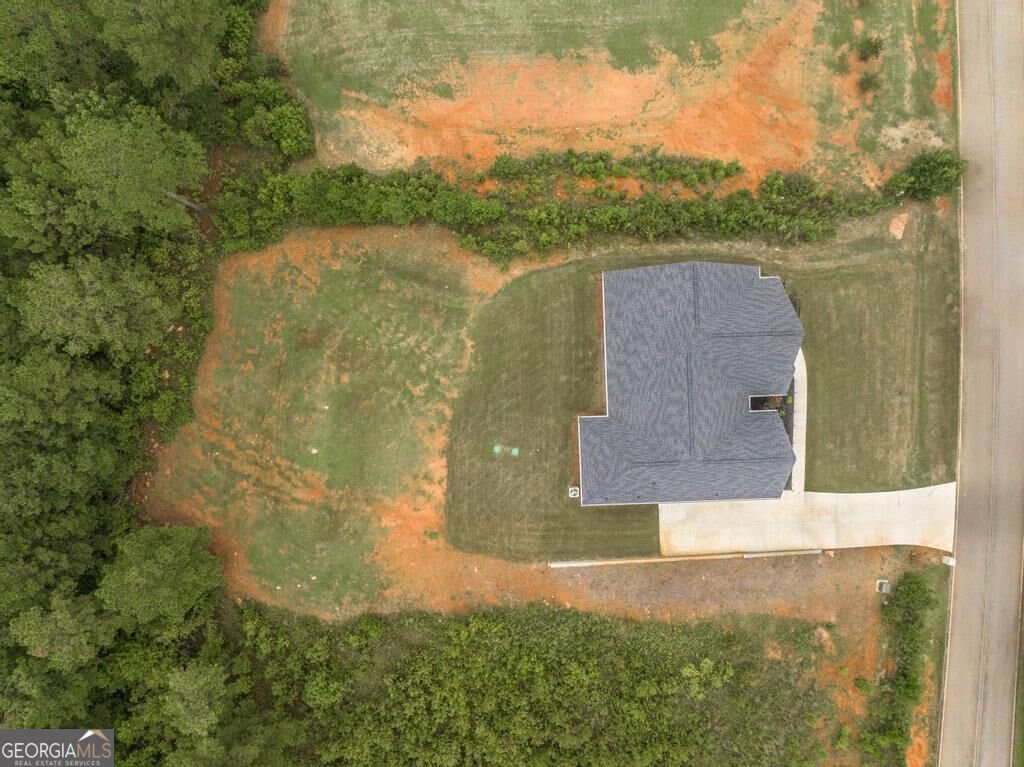 216 Creekside Trail Forsyth - Photo 46