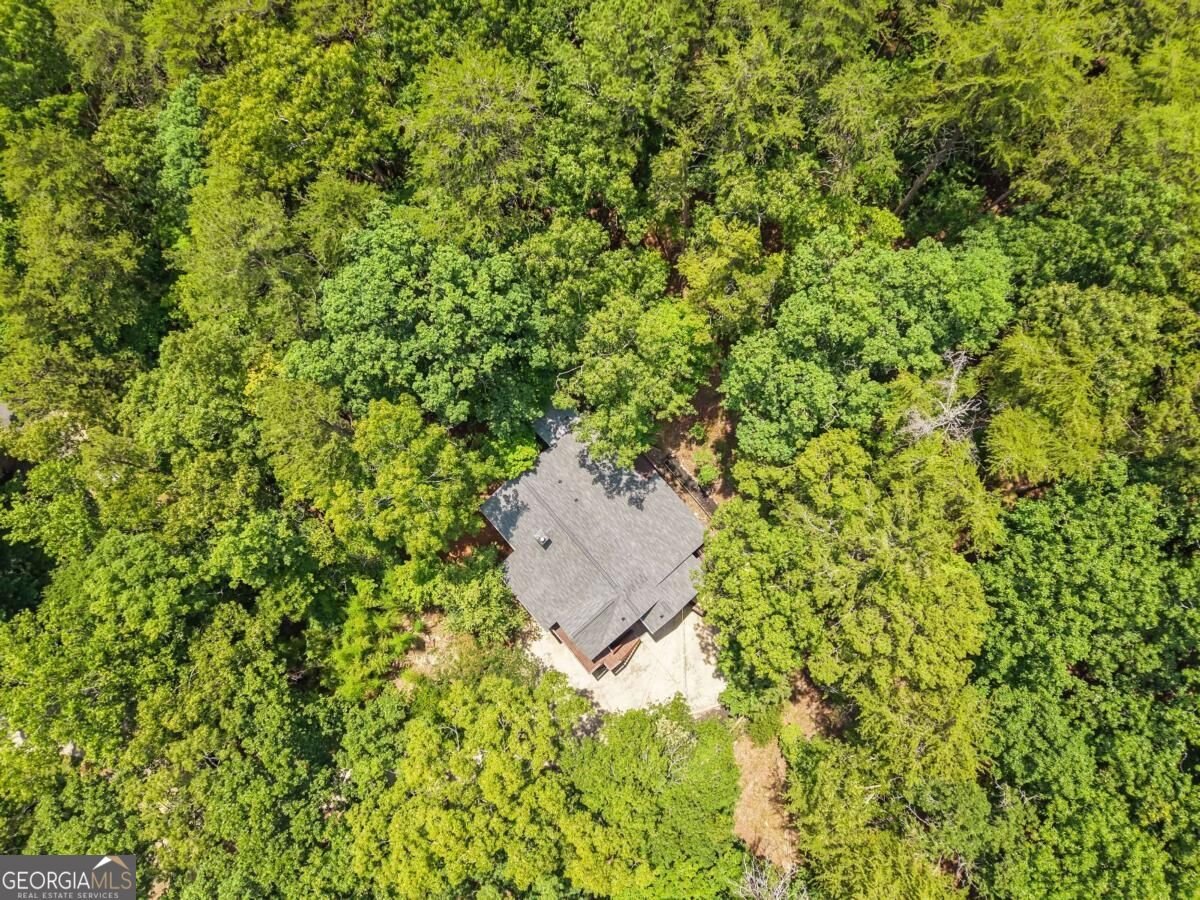 130 Council Oak Loop Waleska - Photo 50