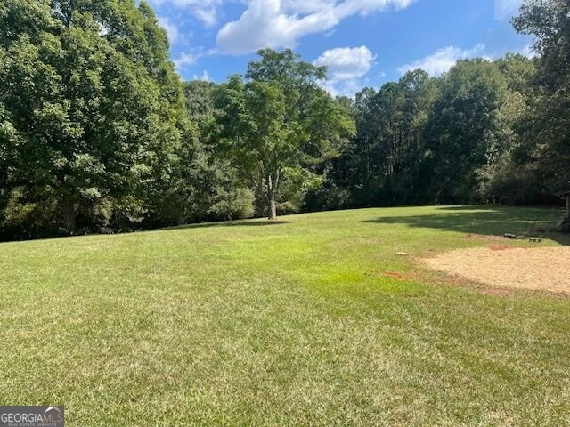 1007 West Gordon Street Thomaston - Photo 8