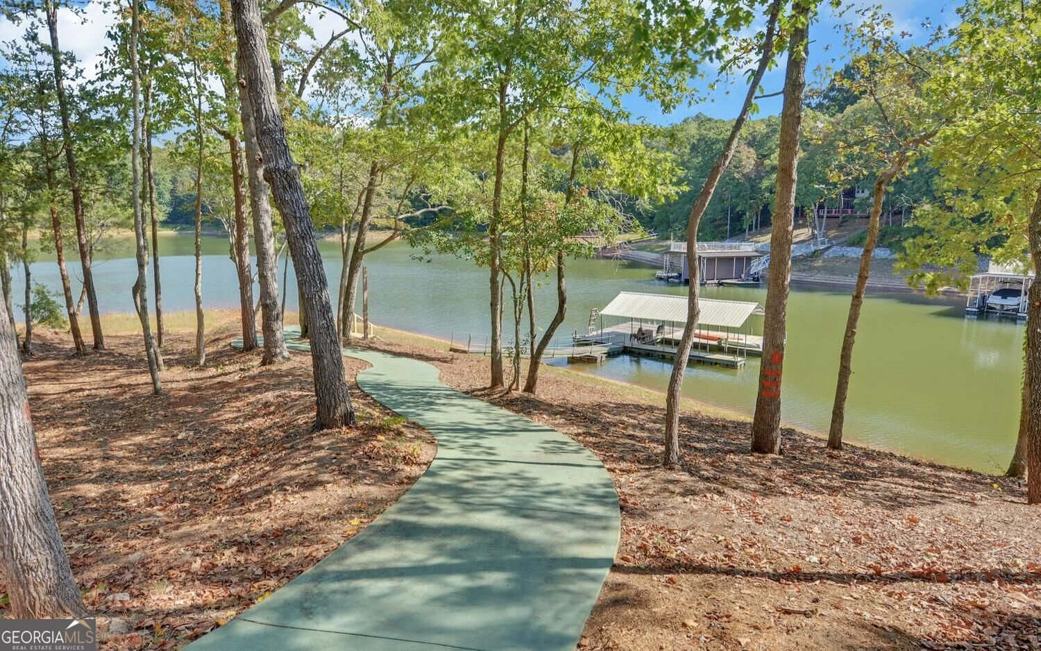 675 Old Mill Road Hartwell - Photo 60