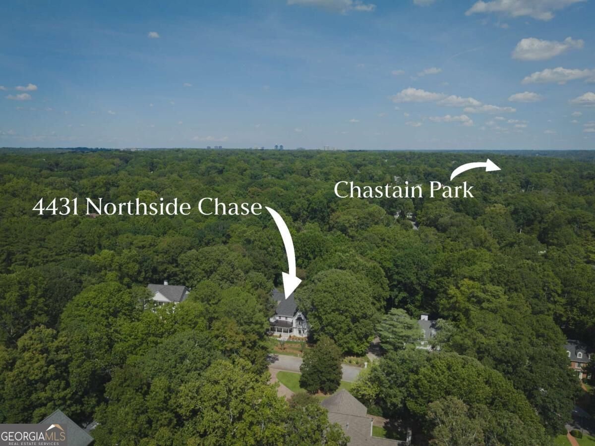 4431 Northside Chase Atlanta - Photo 56