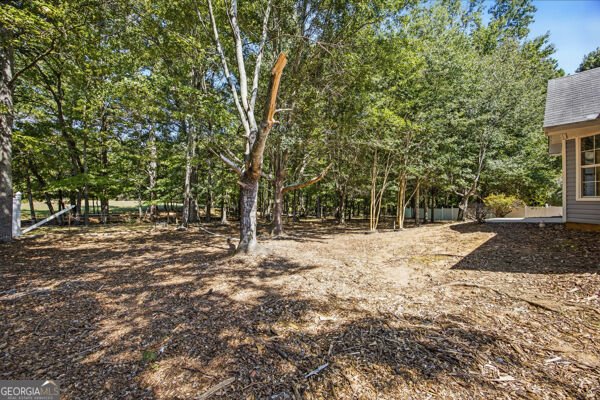 185 Penny Lane McDonough - Photo 26