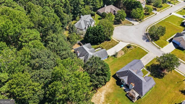 185 Penny Lane McDonough - Photo 30