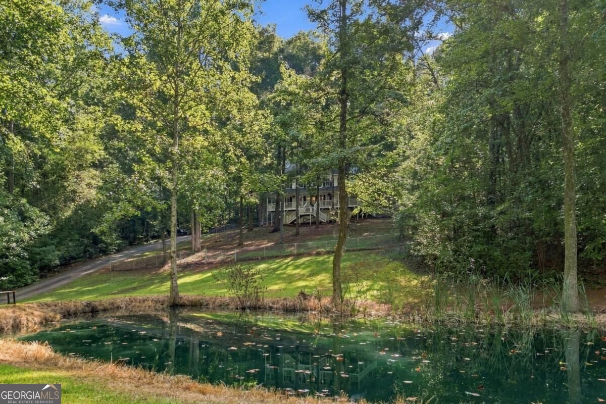 981 Cochran Ridge Road Hiram - Photo 65