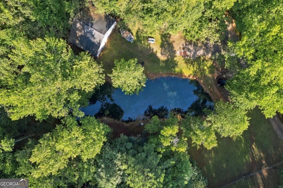981 Cochran Ridge Road Hiram - Photo 68