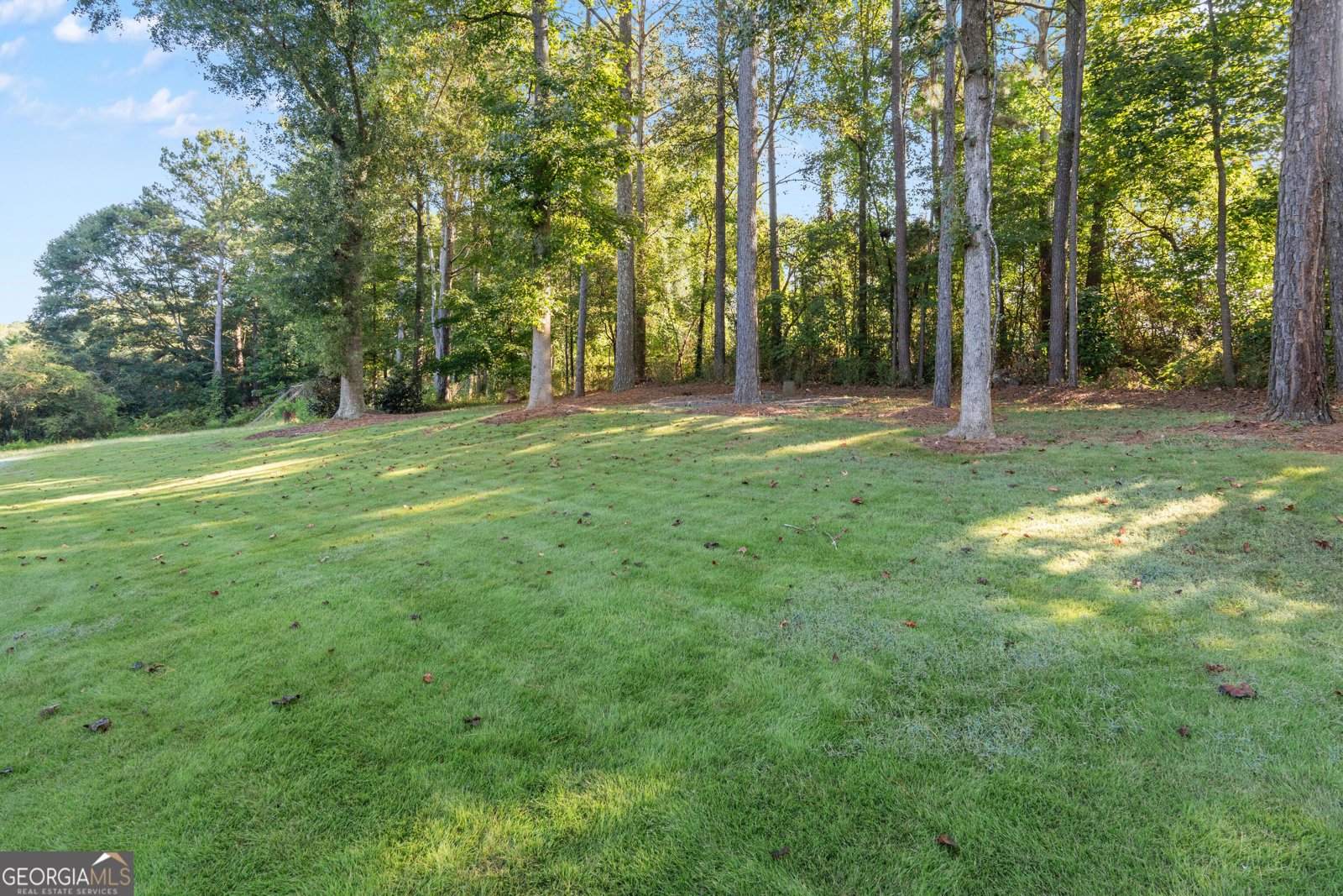 54 Wooddale Lane Carrollton - Photo 31
