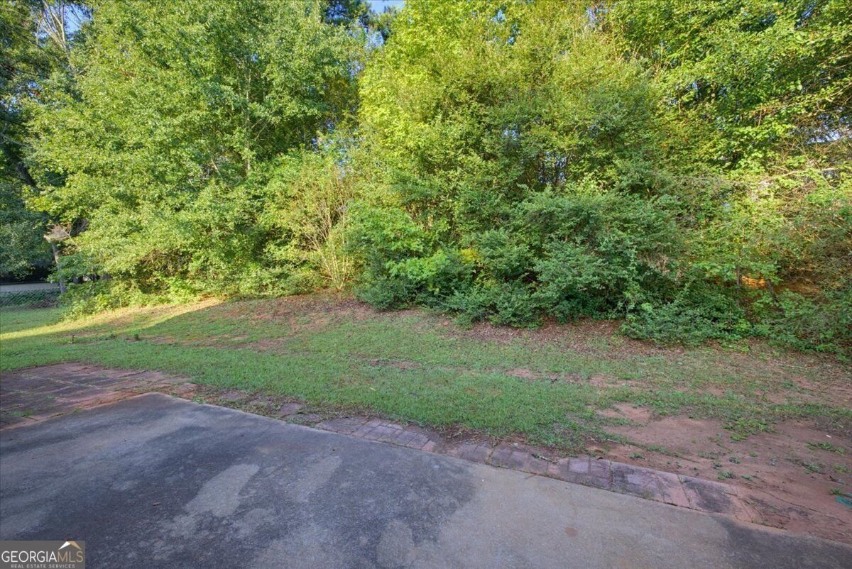 4037 Monarch Drive McDonough - Photo 26