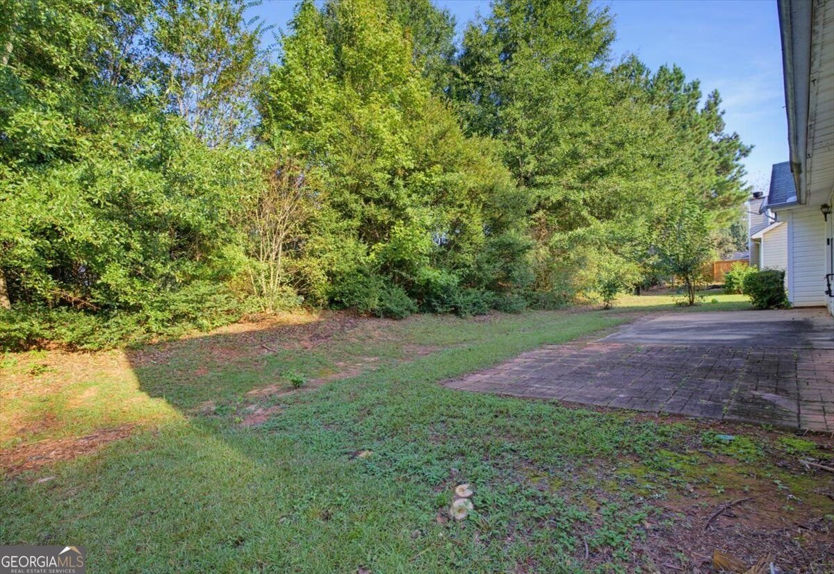 4037 Monarch Drive McDonough - Photo 30