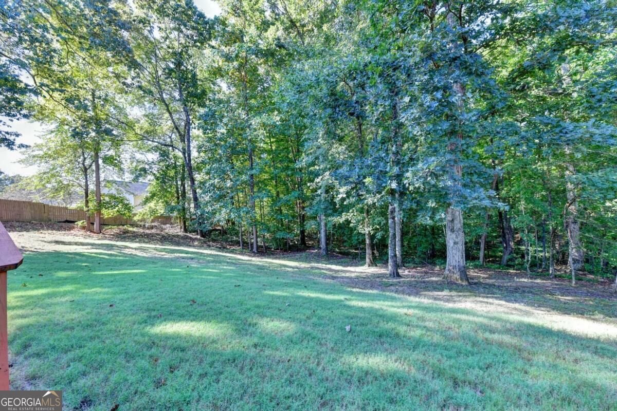 830 Wisteria View Court Dacula - Photo 58