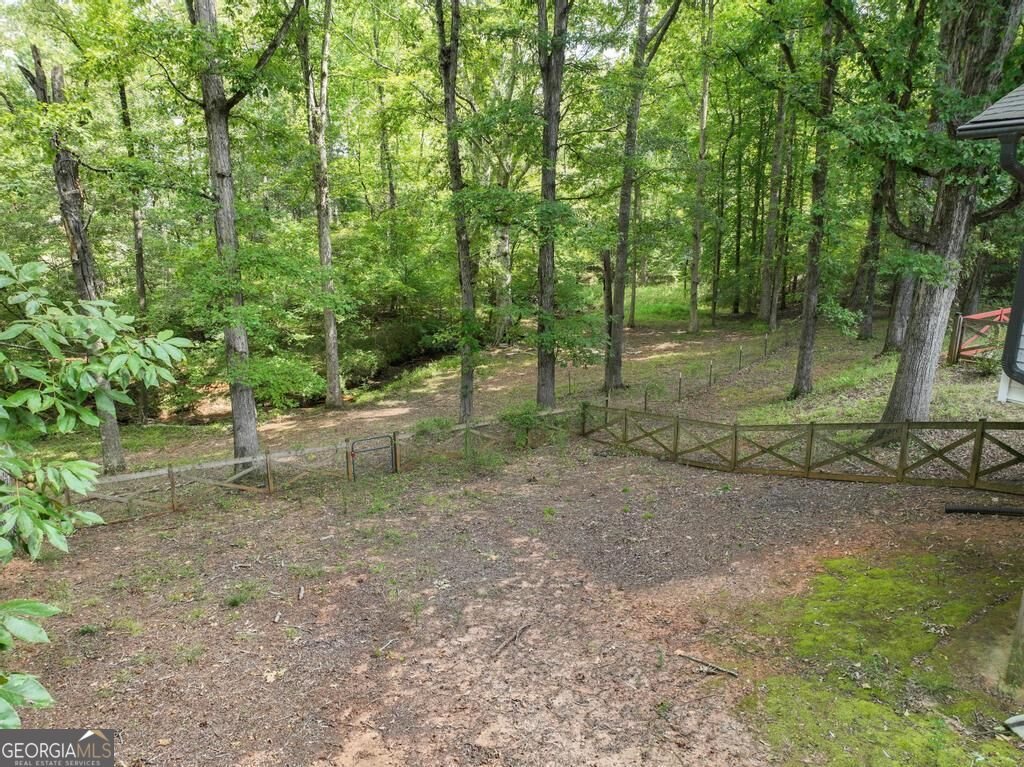 783 Lester Mill Road Locust Grove - Photo 35