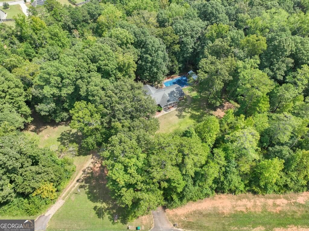783 Lester Mill Road Locust Grove - Photo 36