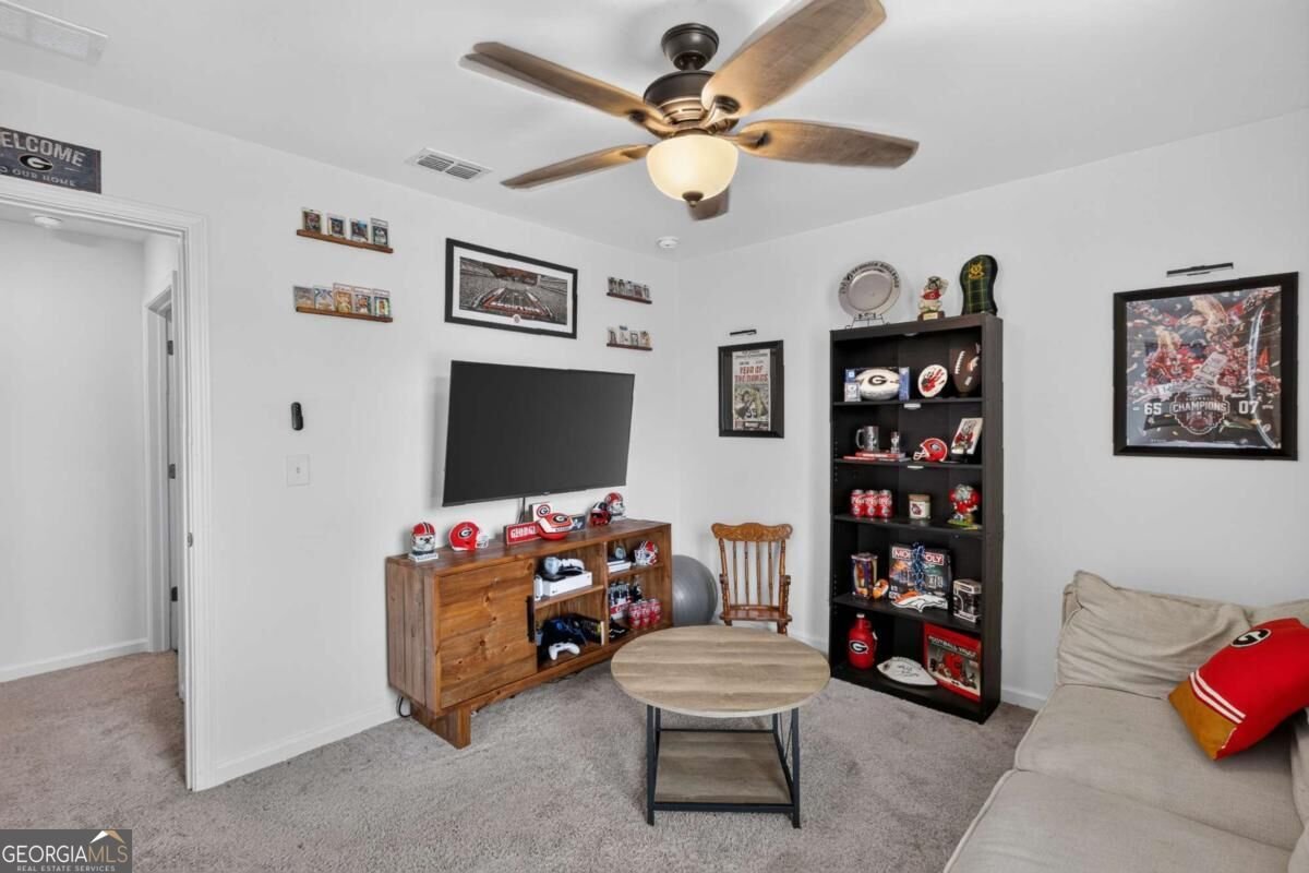 240 River Branch Way Hoschton - Photo 25