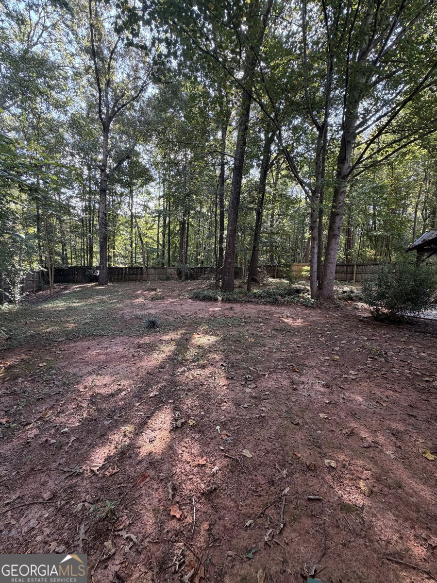 598 Ishman Ballard Road Newnan - Photo 22