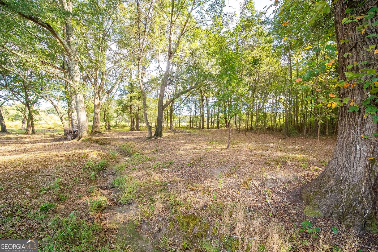 3094 Rambling Rill Drive Statham - Photo 73