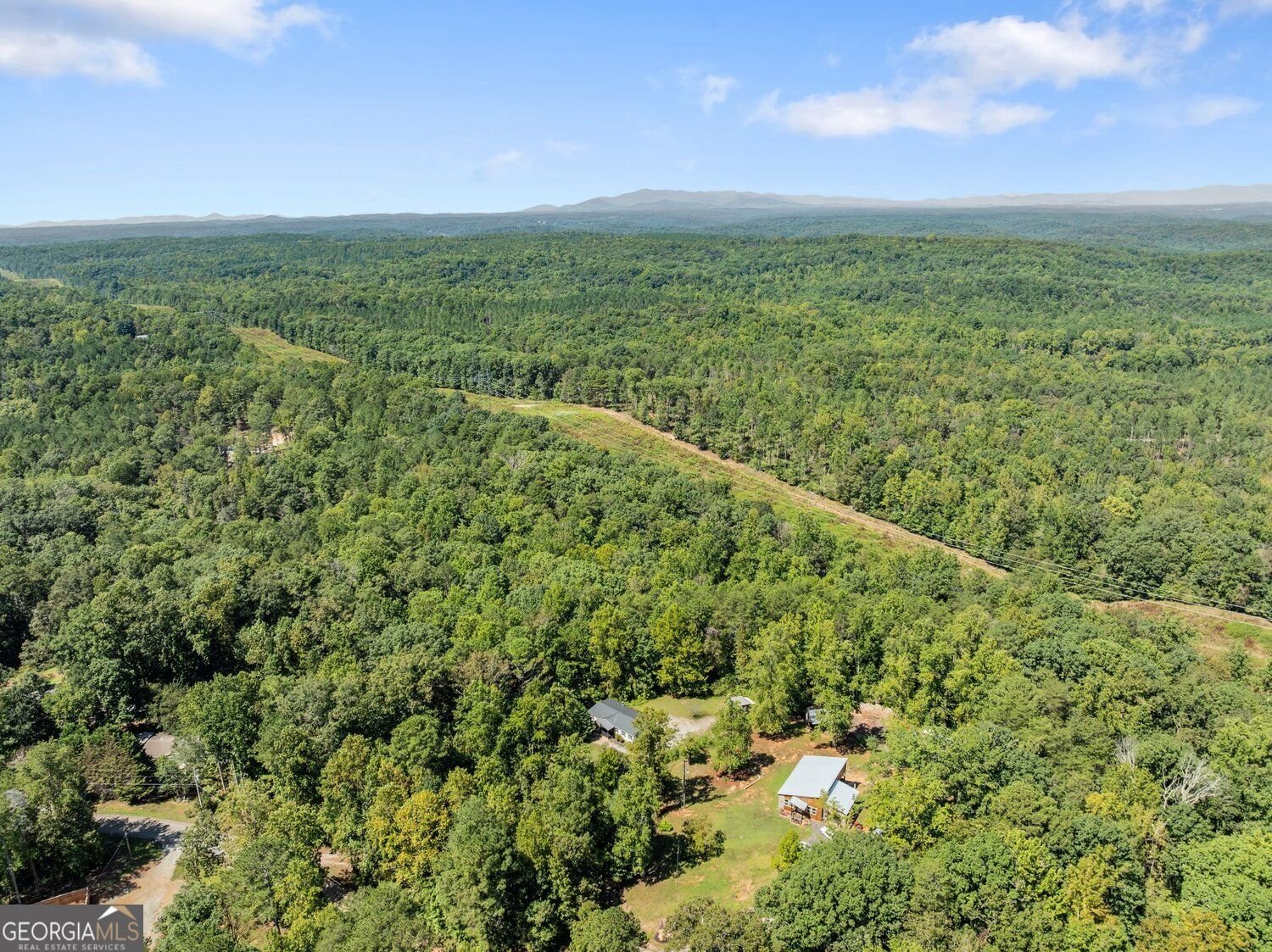 125 Bagwell Drive Dawsonville - Photo 46