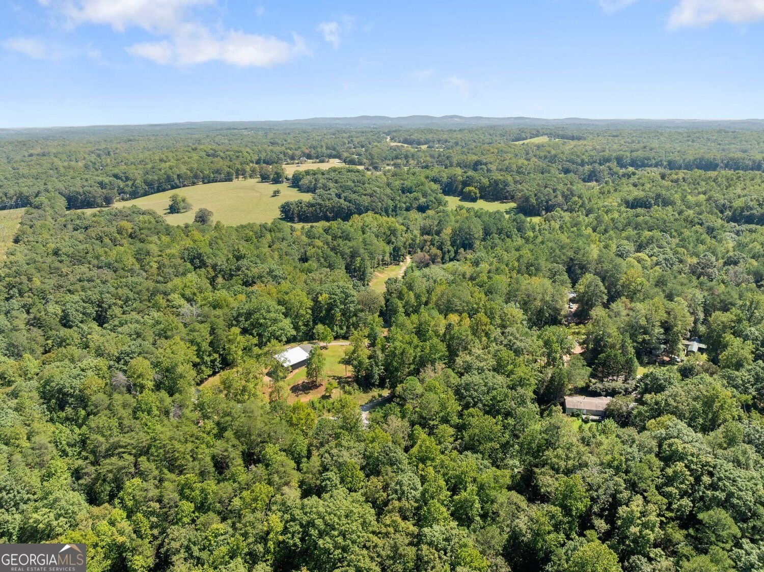 125 Bagwell Drive Dawsonville - Photo 49