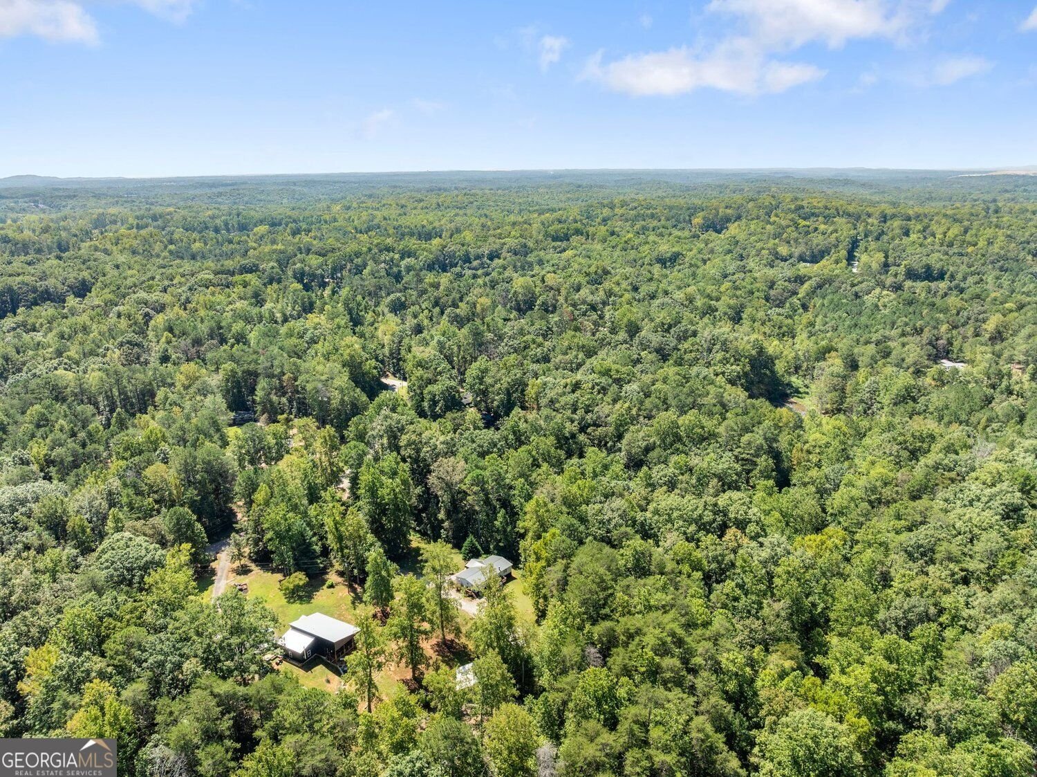 125 Bagwell Drive Dawsonville - Photo 50