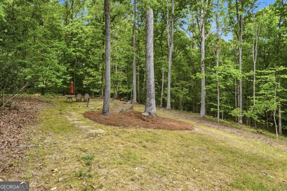 630 Danas Ridge Drive Roswell - Photo 87