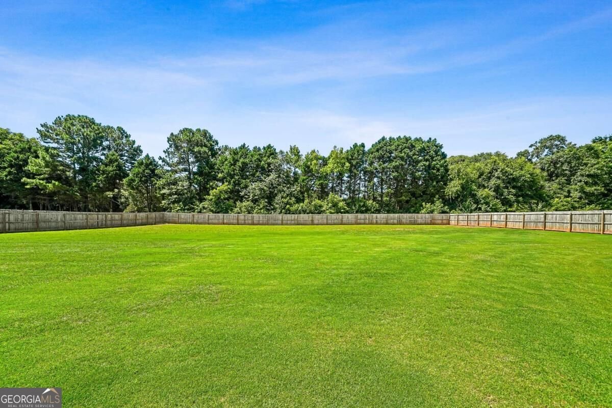 1538 Lake Road Mcdonough - Photo 39