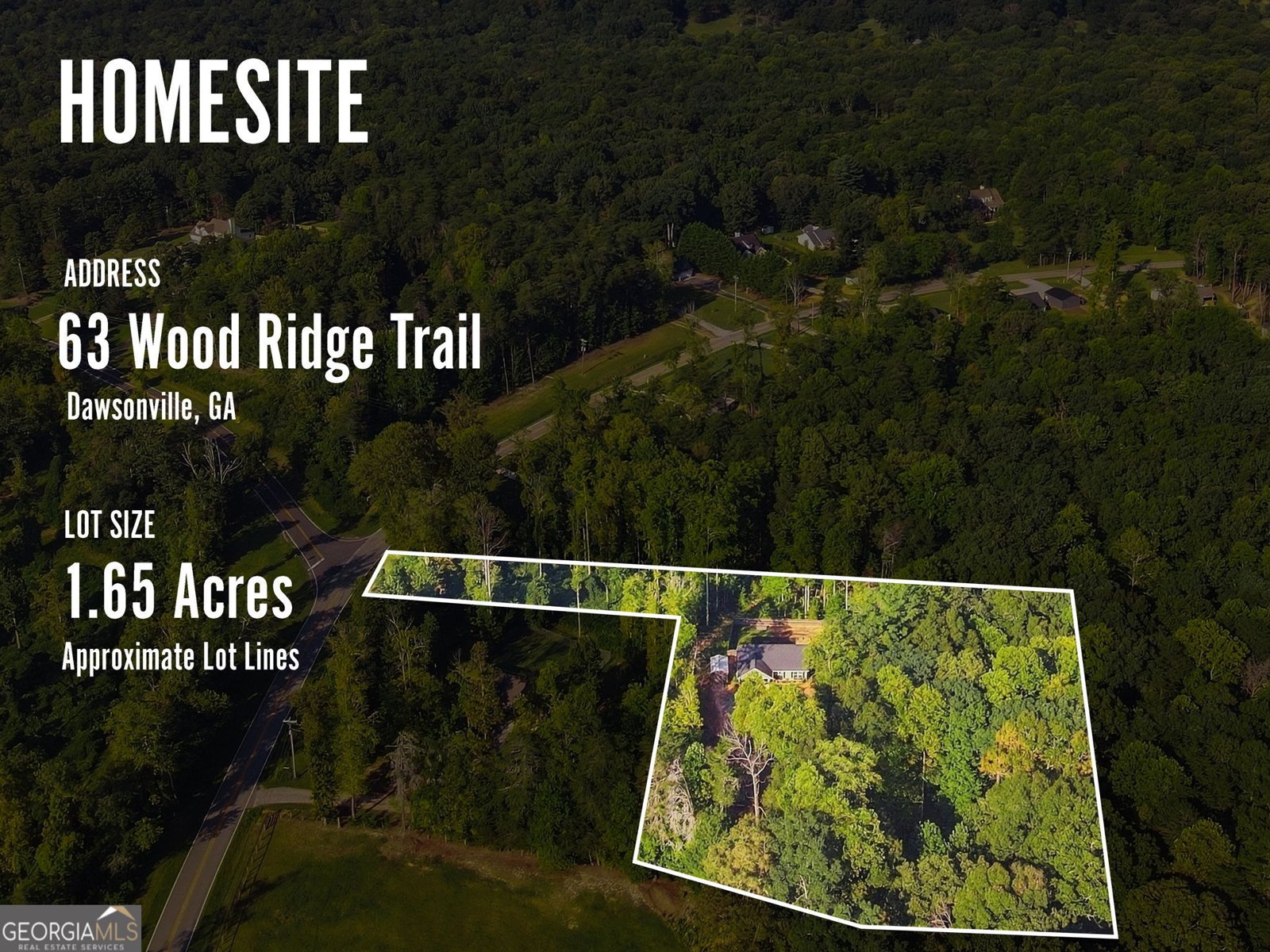 63 Wood Ridge Trail Dawsonville - Photo 44
