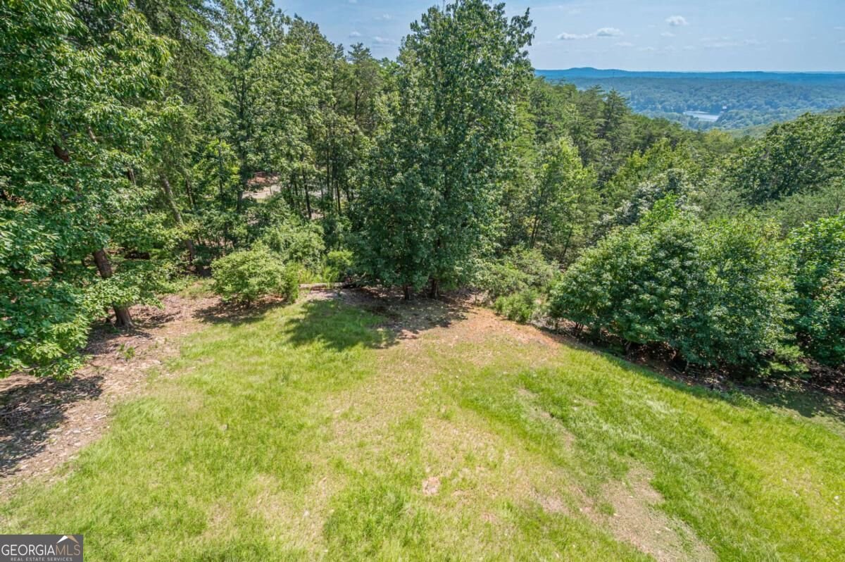 805 Lake Arrowhead Drive Waleska - Photo 62