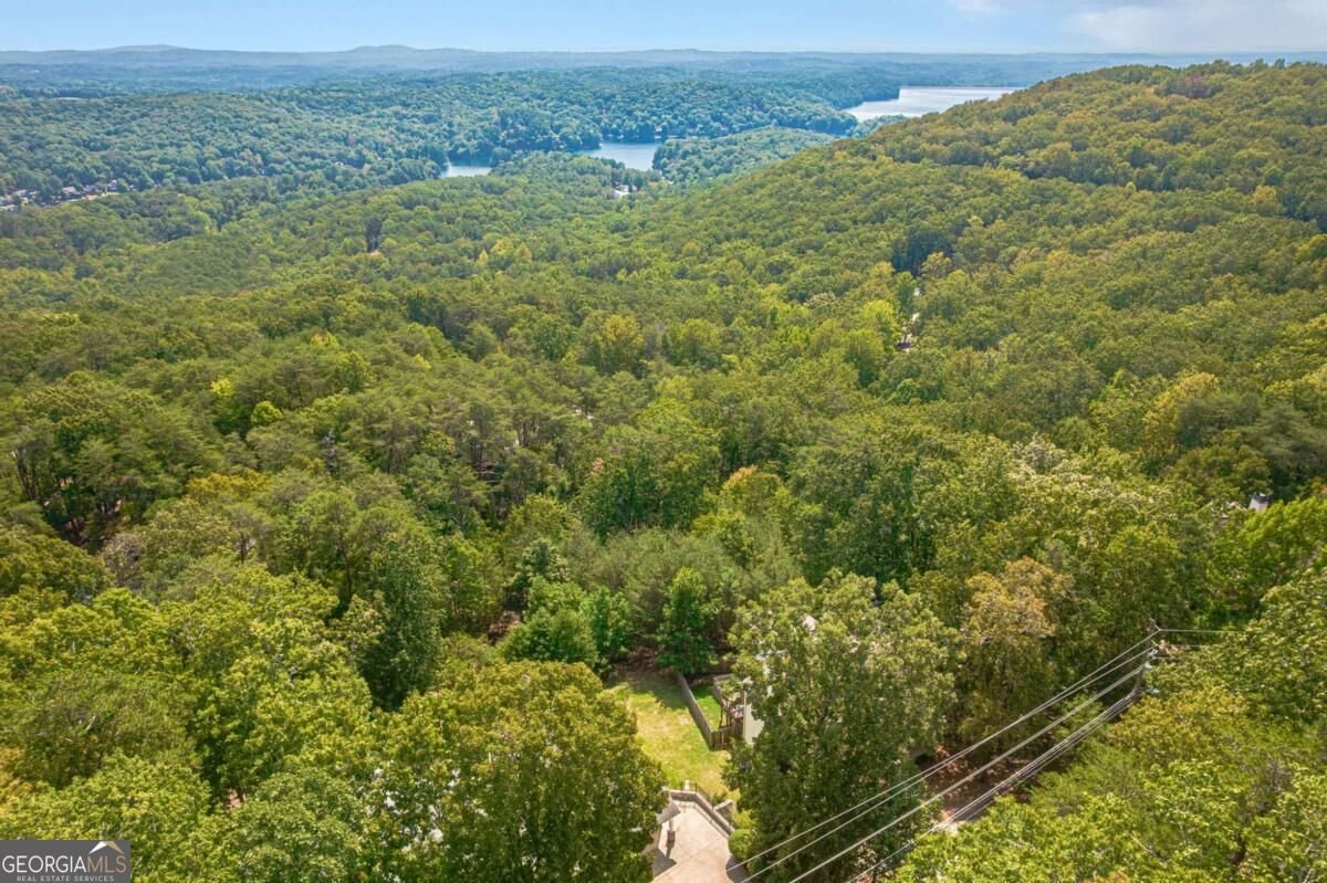805 Lake Arrowhead Drive Waleska - Photo 66