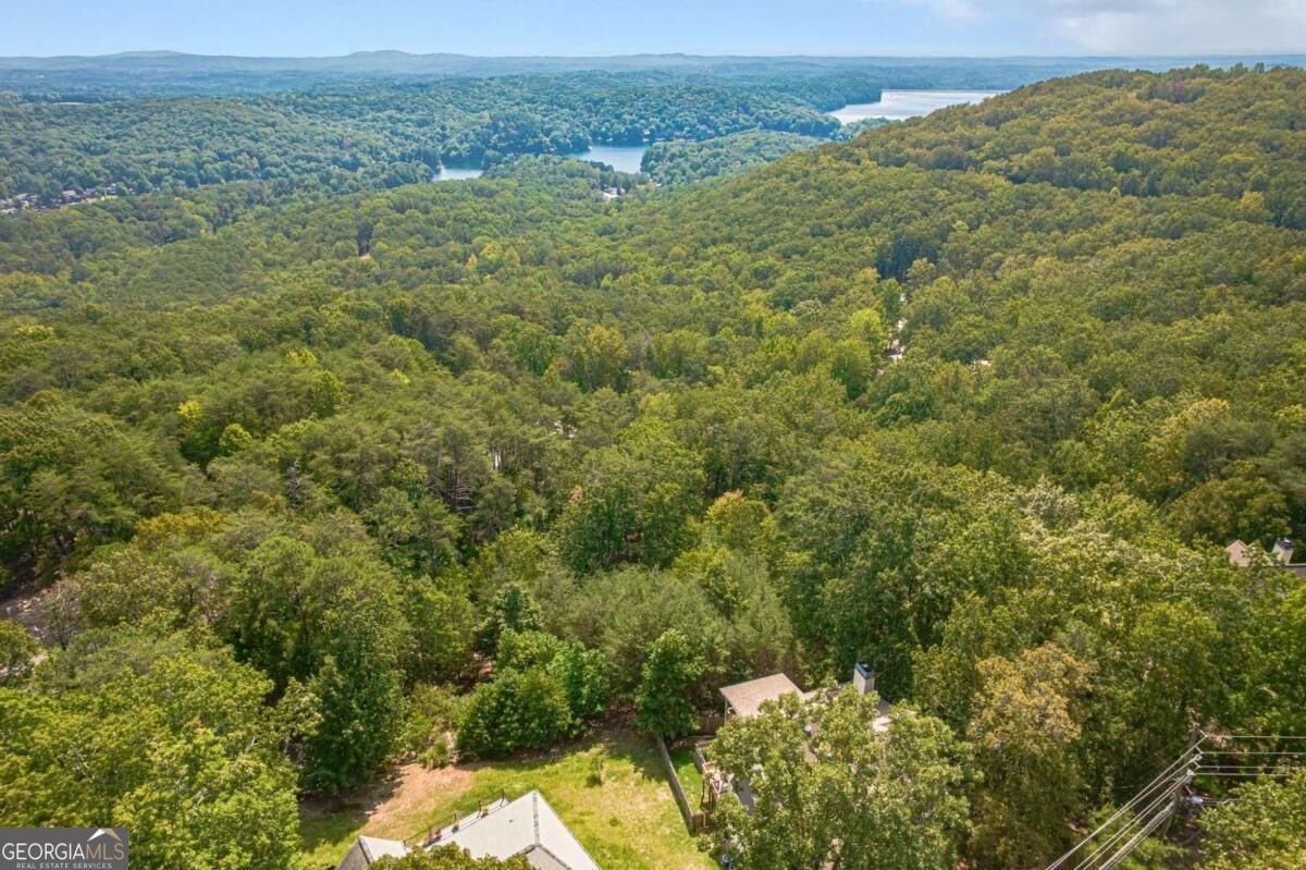 805 Lake Arrowhead Drive Waleska - Photo 67