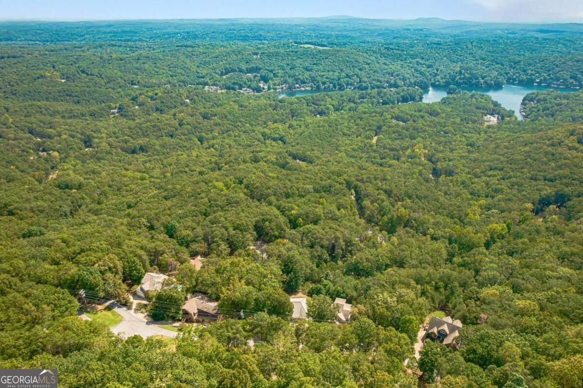 805 Lake Arrowhead Drive Waleska - Photo 70