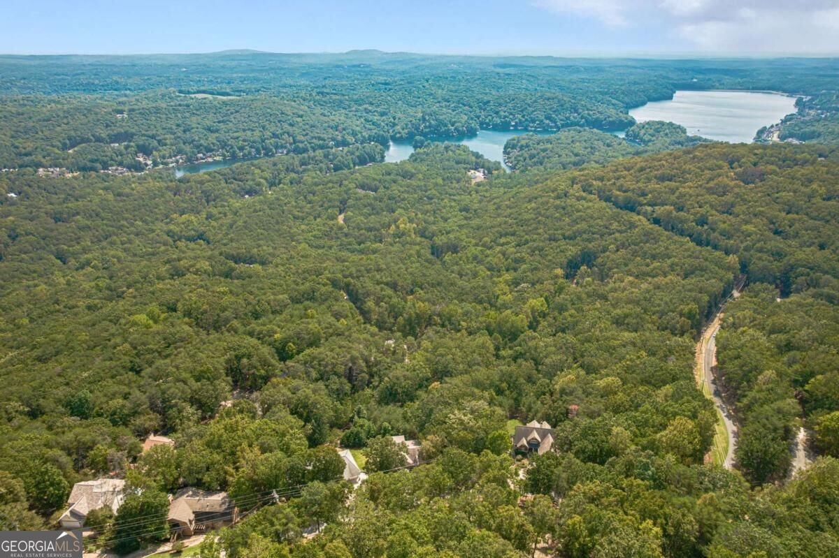 805 Lake Arrowhead Drive Waleska - Photo 71