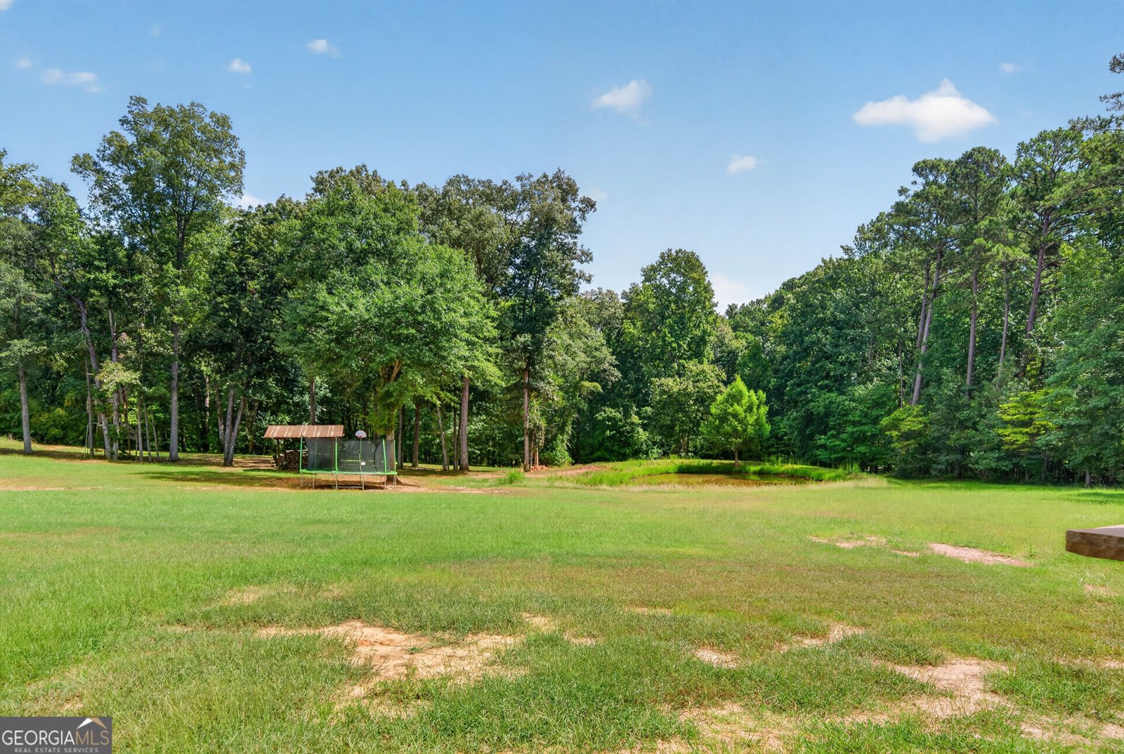 1081 Parks Mill Lane Buckhead - Photo 36