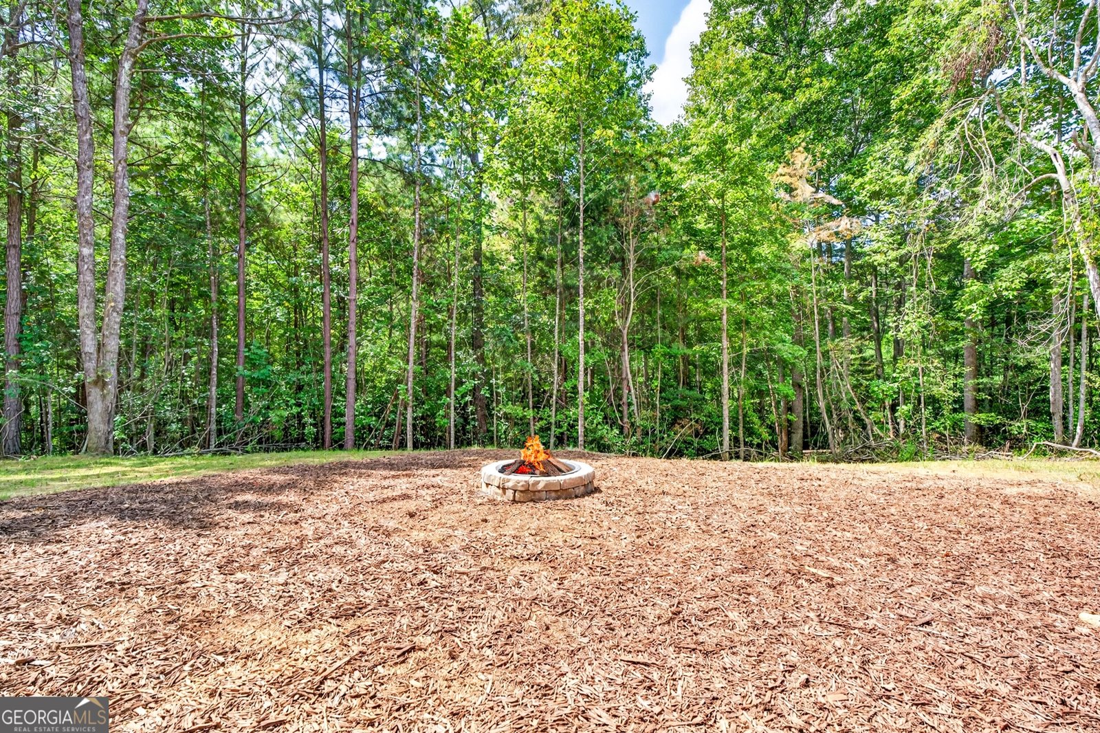 824 Banks Road Ellijay - Photo 70
