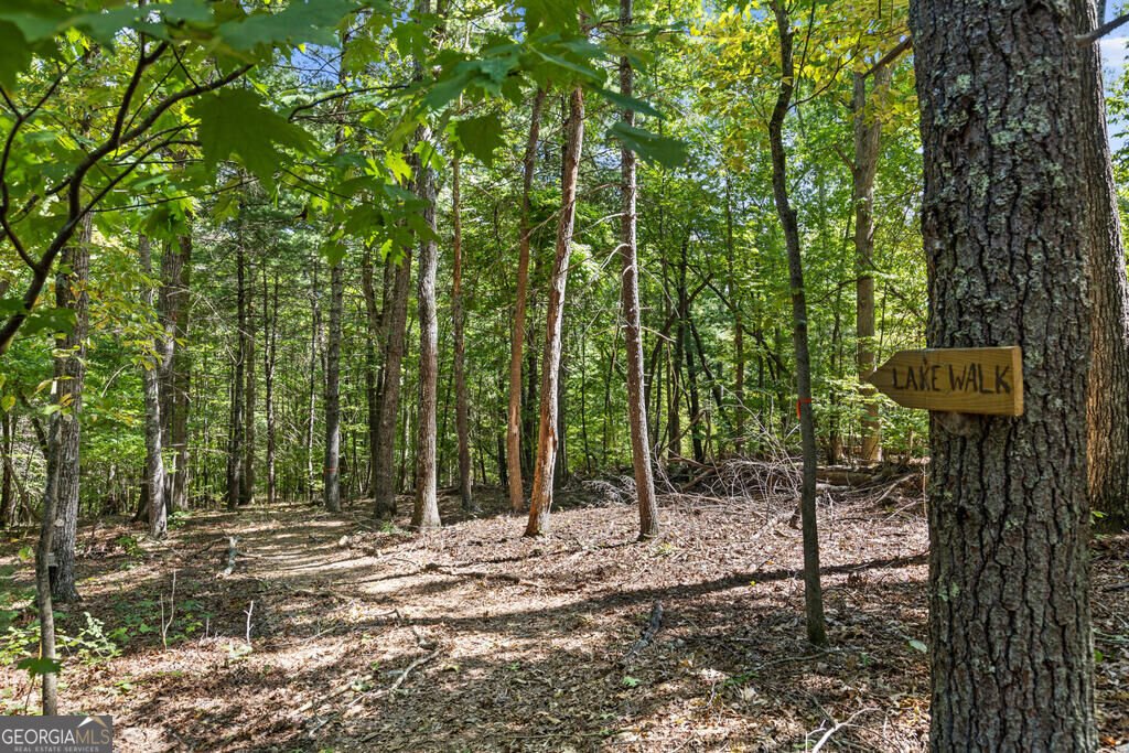 32 Squirrel Trail Blue Ridge - Photo 28