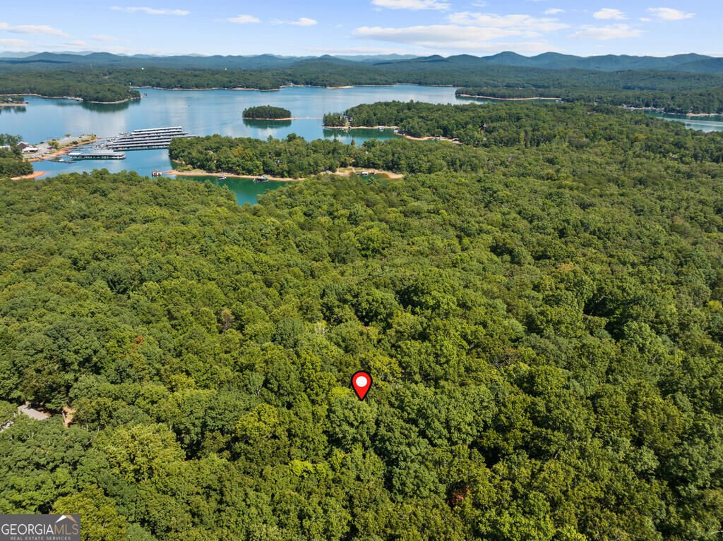 32 Squirrel Trail Blue Ridge - Photo 29