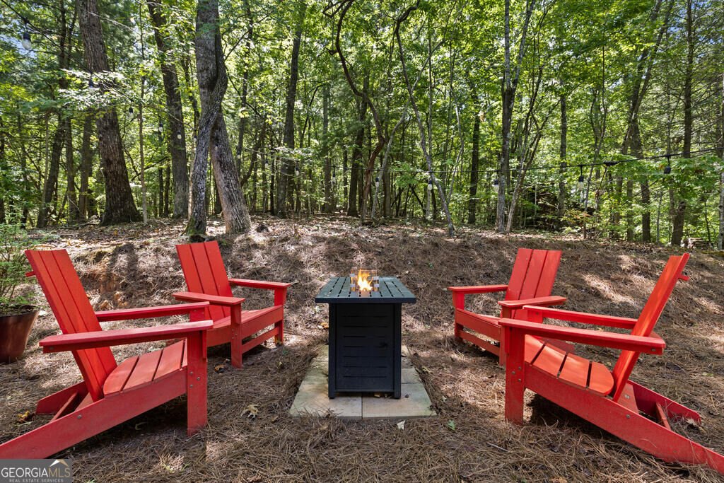 32 Squirrel Trail Blue Ridge - Photo 32