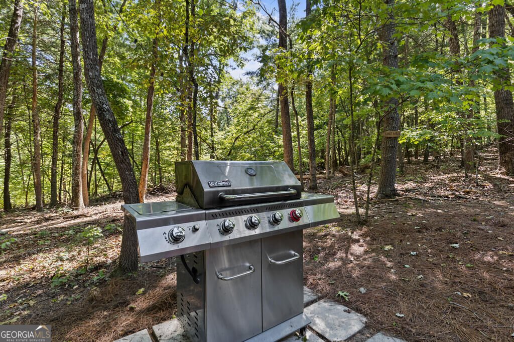 32 Squirrel Trail Blue Ridge - Photo 33