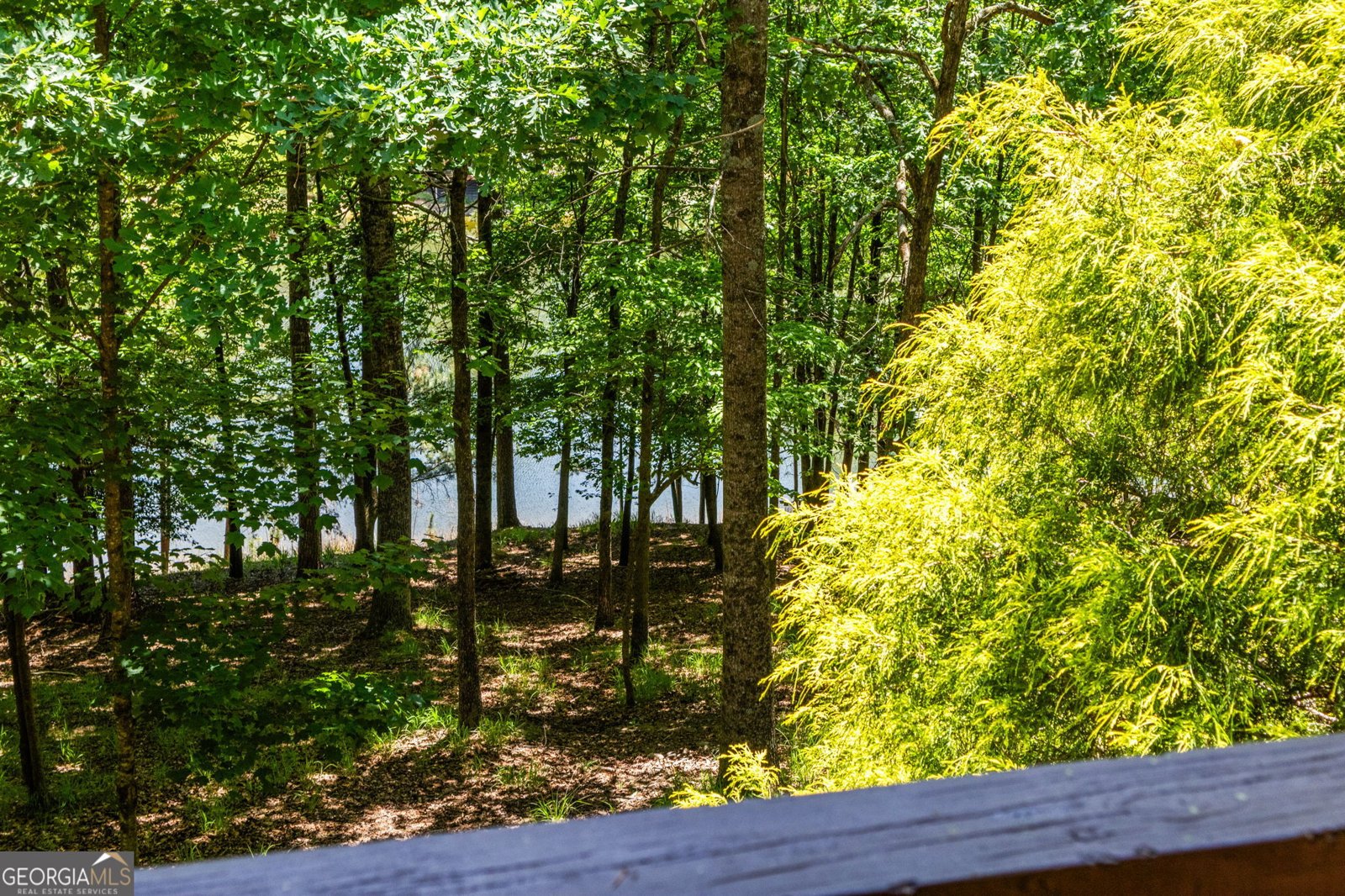 85 Misty Hollow Ridge Ellijay - Photo 34