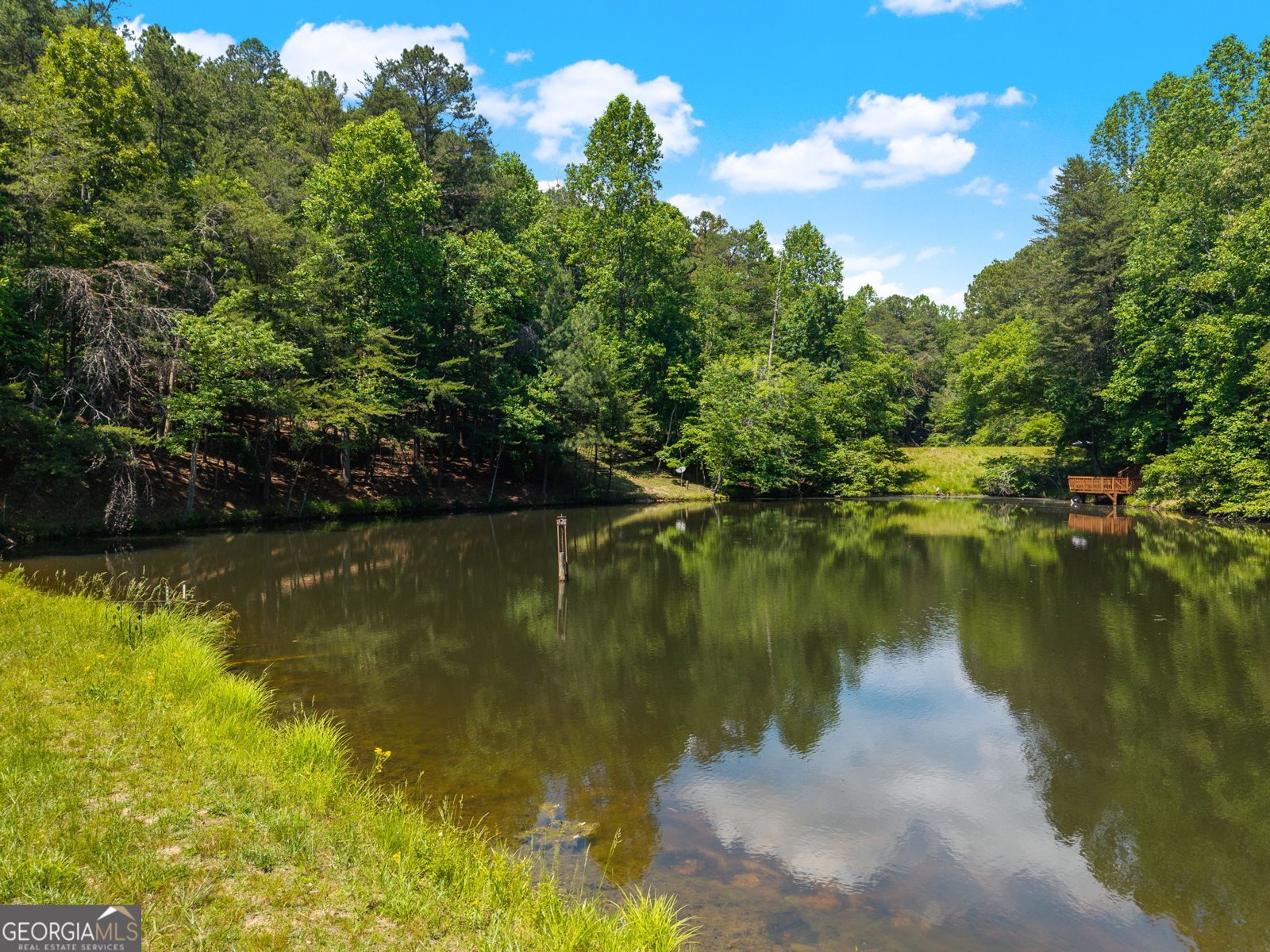 85 Misty Hollow Ridge Ellijay - Photo 58