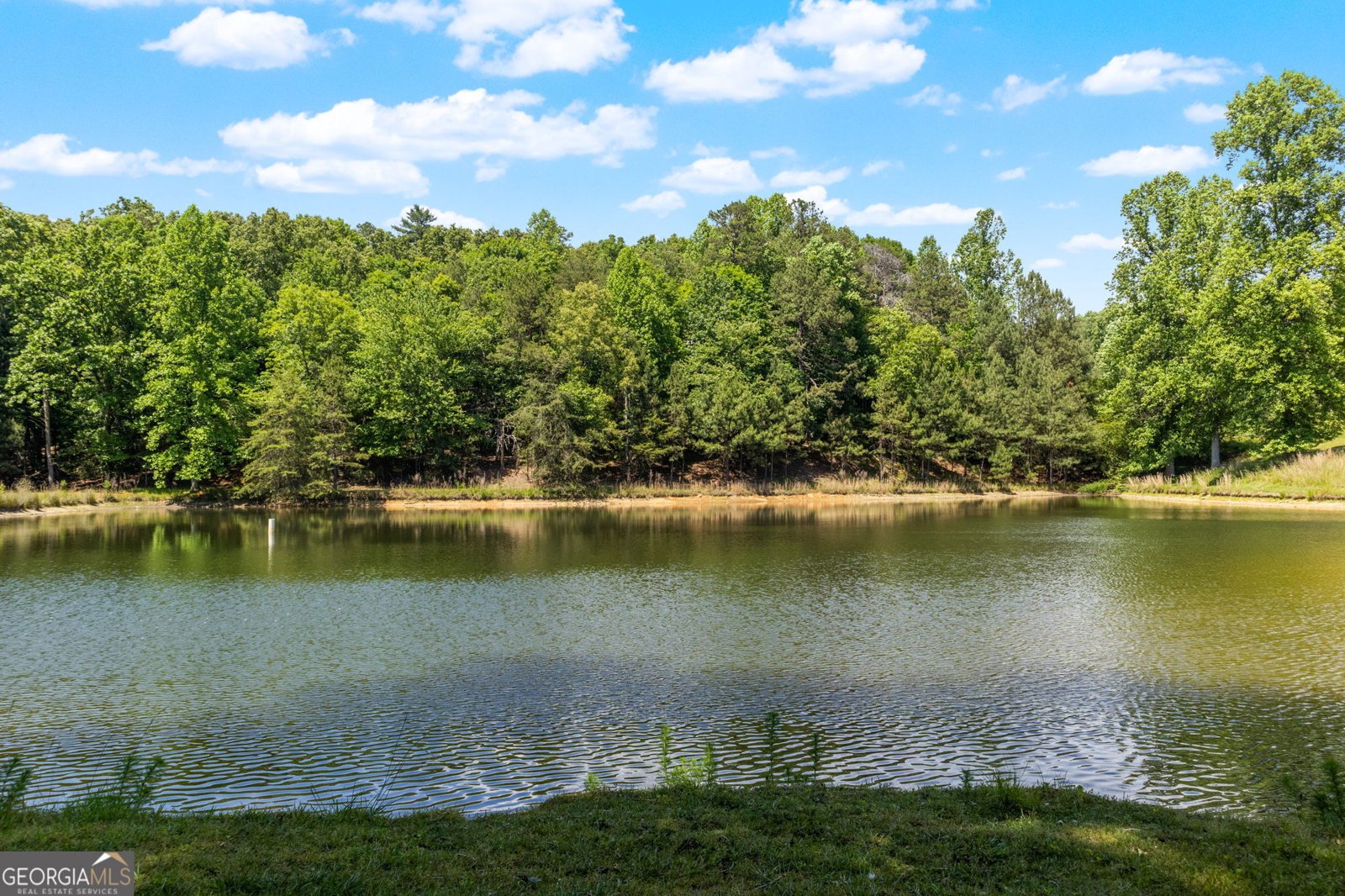 85 Misty Hollow Ridge Ellijay - Photo 59