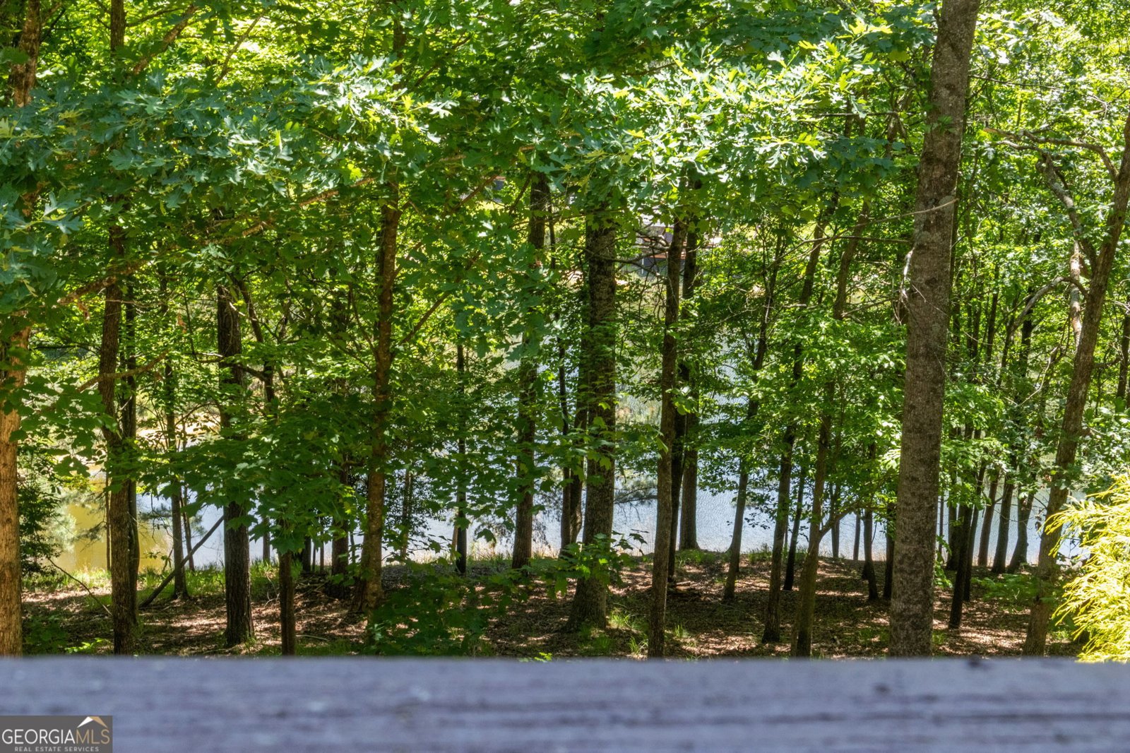 85 Misty Hollow Ridge Ellijay - Photo 6