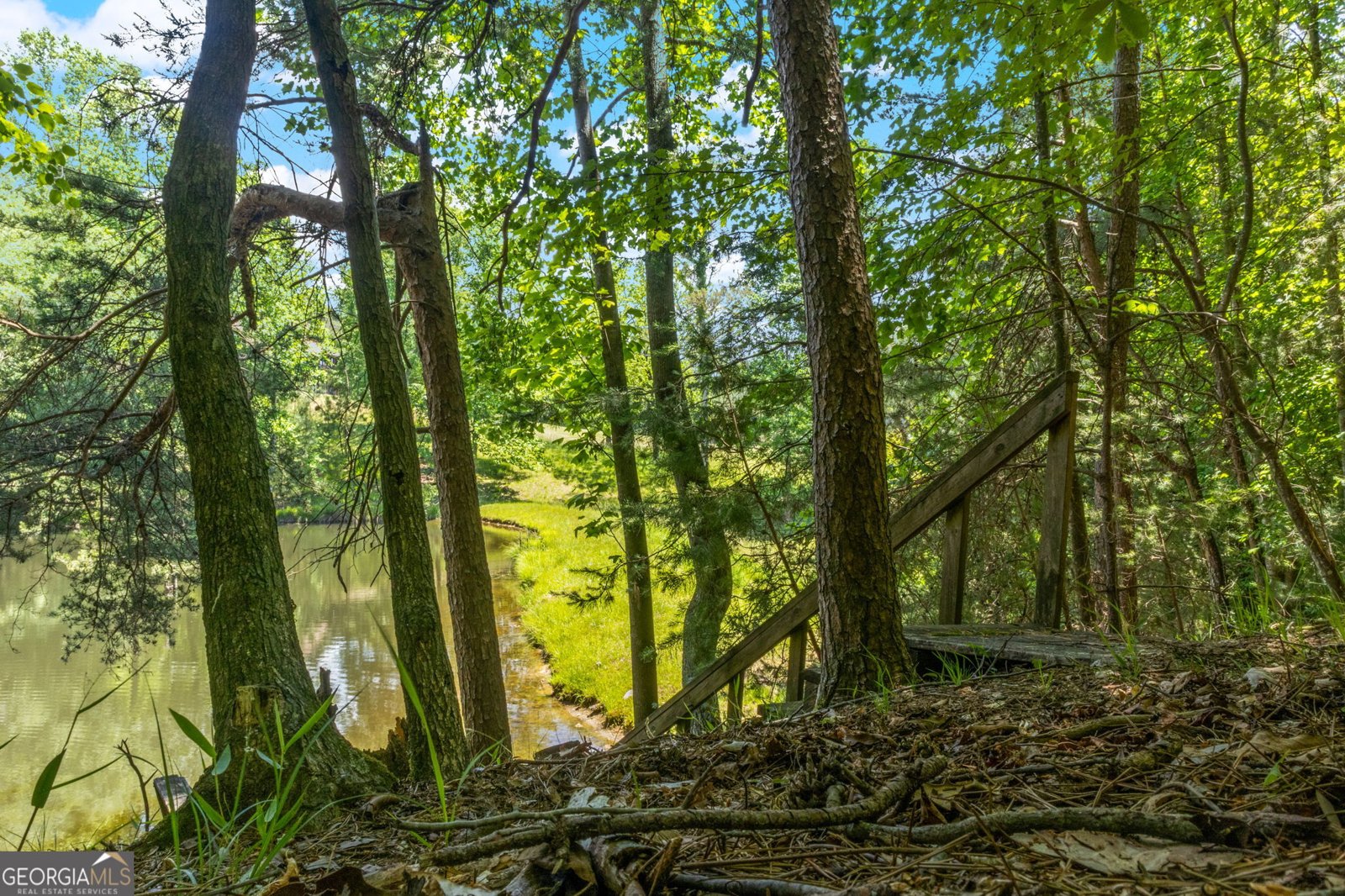 85 Misty Hollow Ridge Ellijay - Photo 60